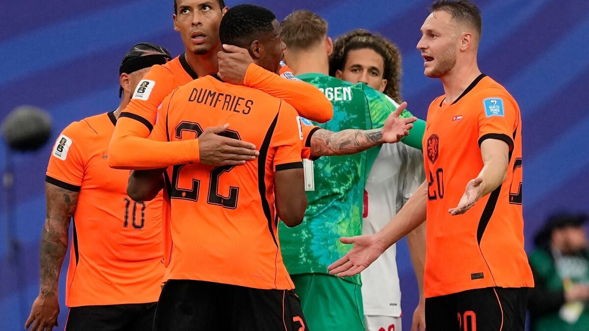 Netherlands win Group F after 3-1 World Cup victory over Tunisia