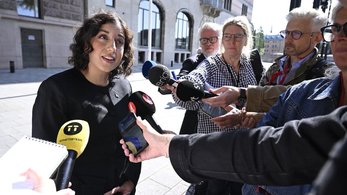 Mohamsson: Åkesson will not become minister without Liberal support