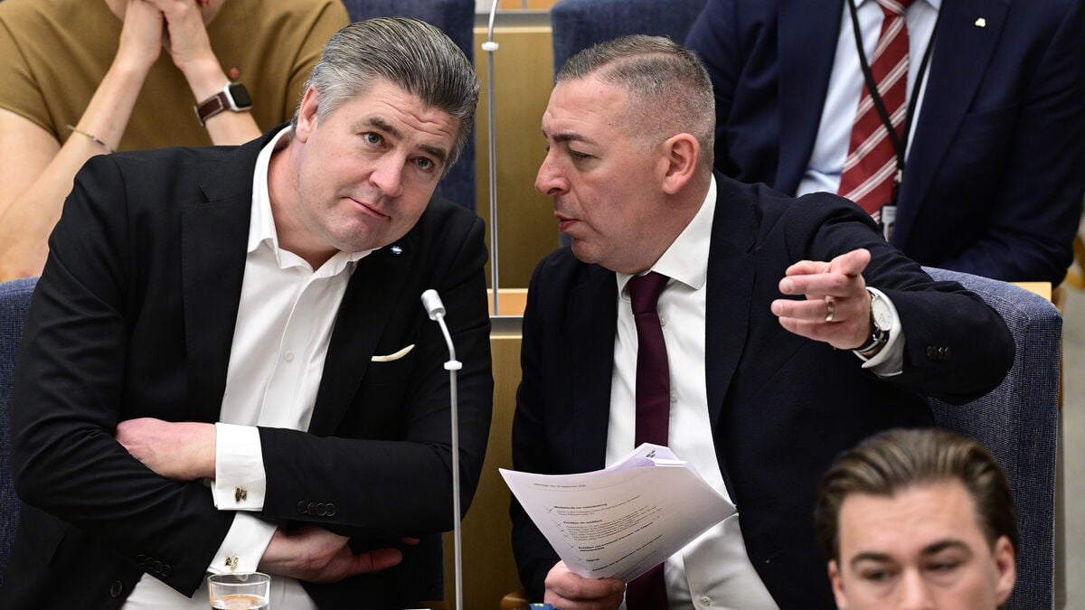 Sweden Democrats Want to Delay Riksdag Review of Landerholm Affair Until Verdict Is Final