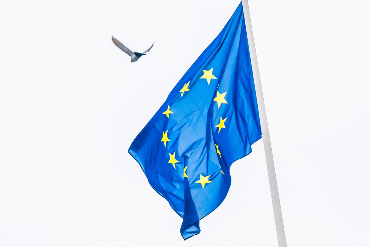 Euro Area GDP Growth Surpasses Expectations in First Quarter