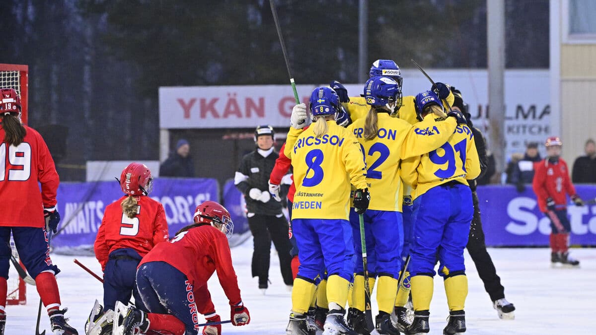Swedish FIB chairman Henrik Nilsson resigns in protest after federation moved closer to Russia