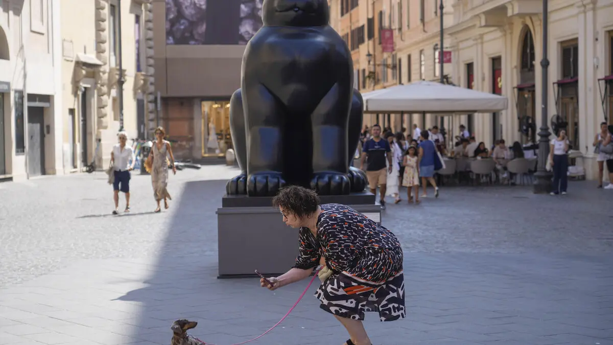 Dog owners in Livorno forced to wash away pee or face a fine