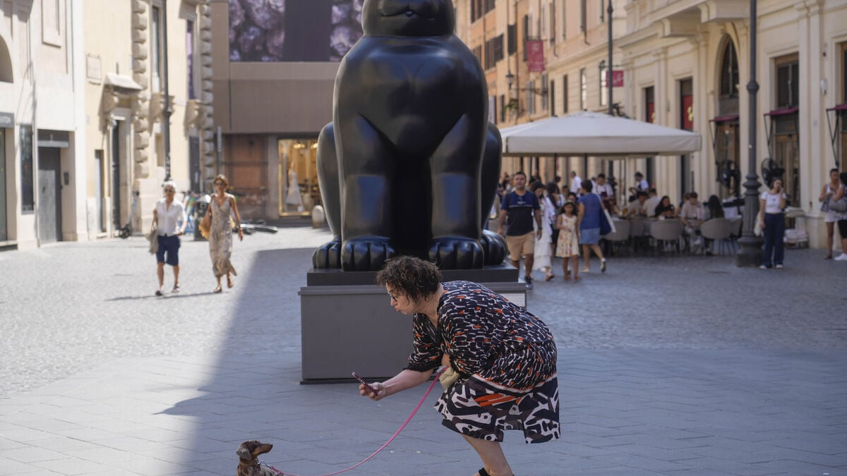 Dog owners in Livorno forced to wash away pee or face a fine