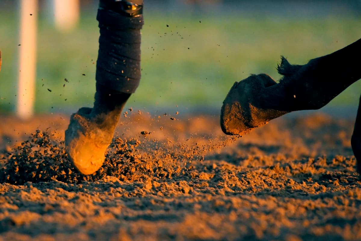 Jockey dies – ended up under a pile of horses