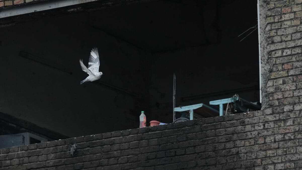 Day two of peace talks - countries claim progress