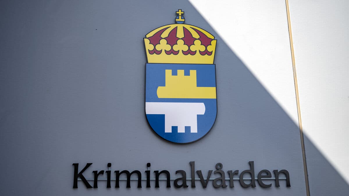 Convicted sex offenders relocated after review of community service placements in children and youth associations