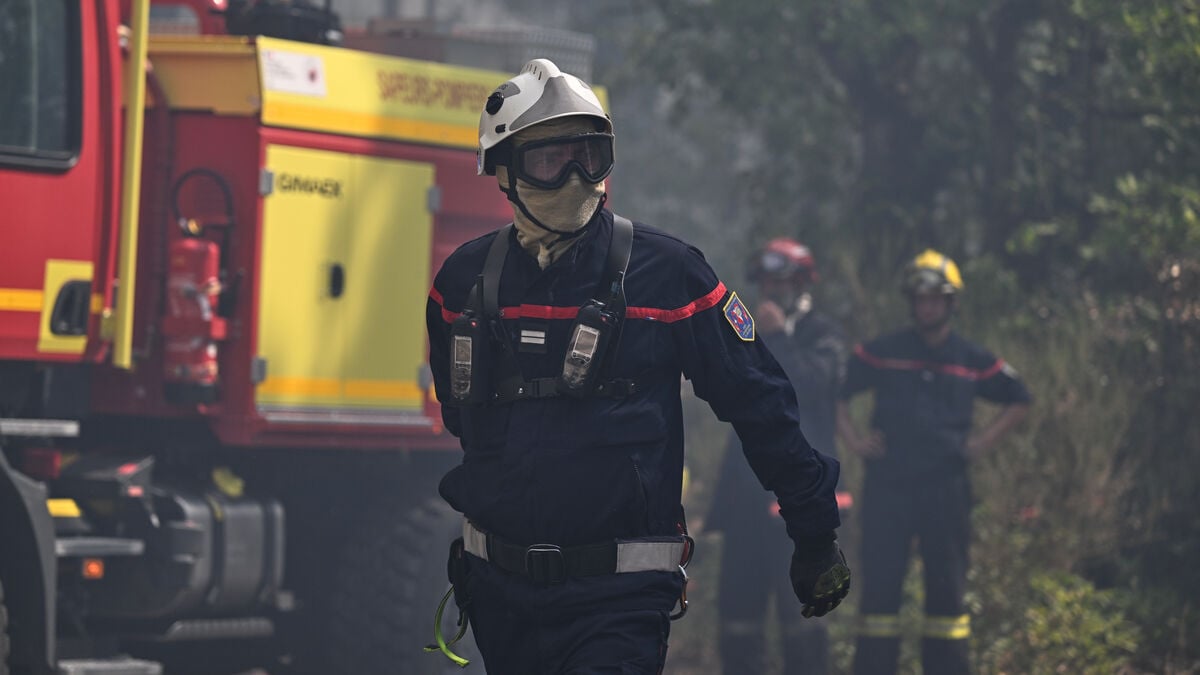 Two arrested over major forest fire south of Paris
