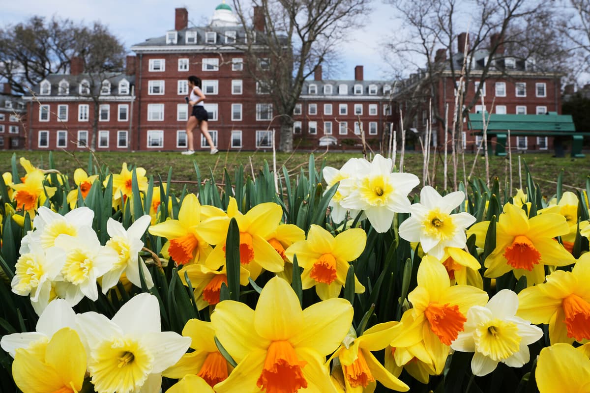 Judge Temporarily Blocks Trump's Visa Ban for Harvard Students