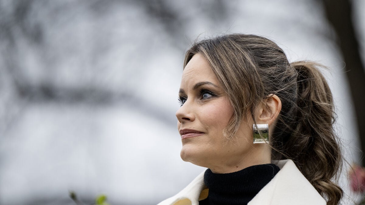 Court: Sofia met Epstein at a restaurant