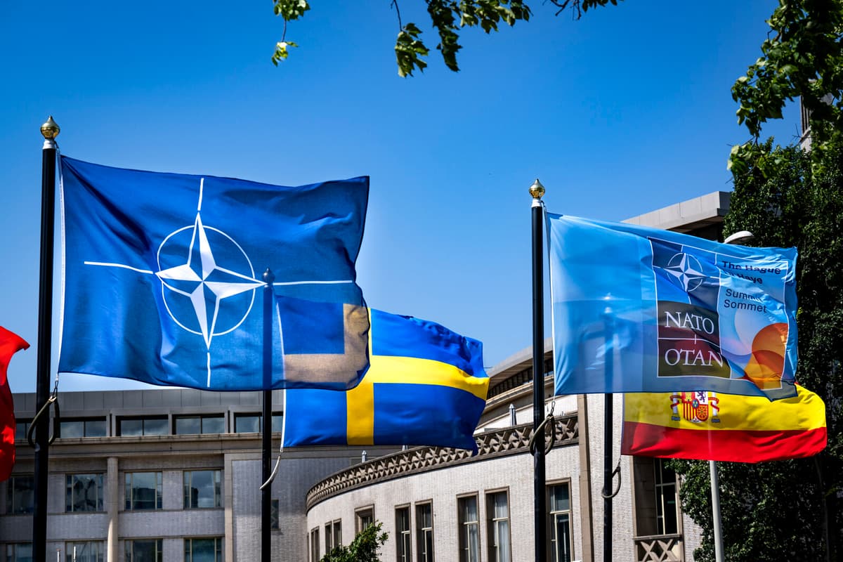 Sweden Urges Faster NATO Defense Investment Increase