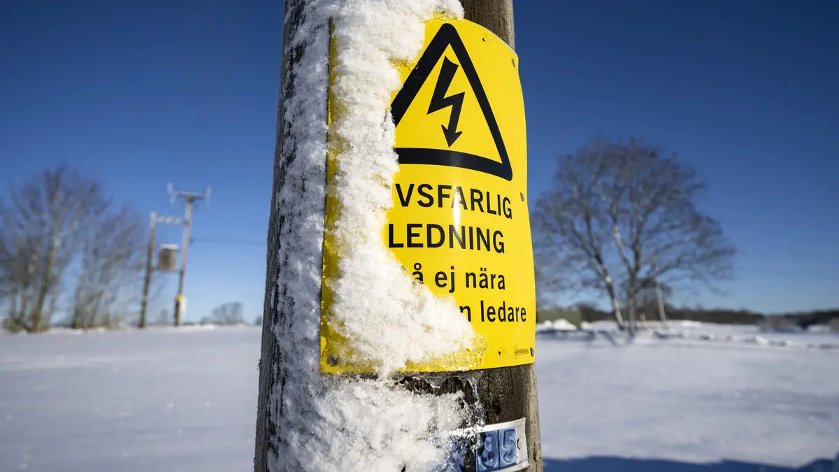 Swedish Competition Authority investigating electricity grid monopolies