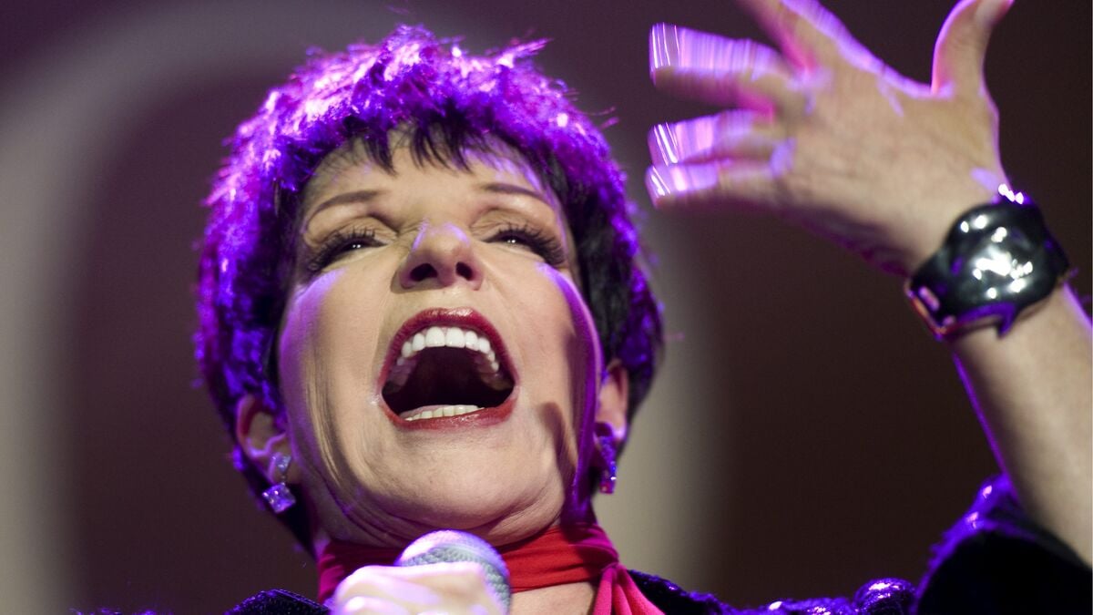 Liza Minnelli releases AI song, Incredible Stuff