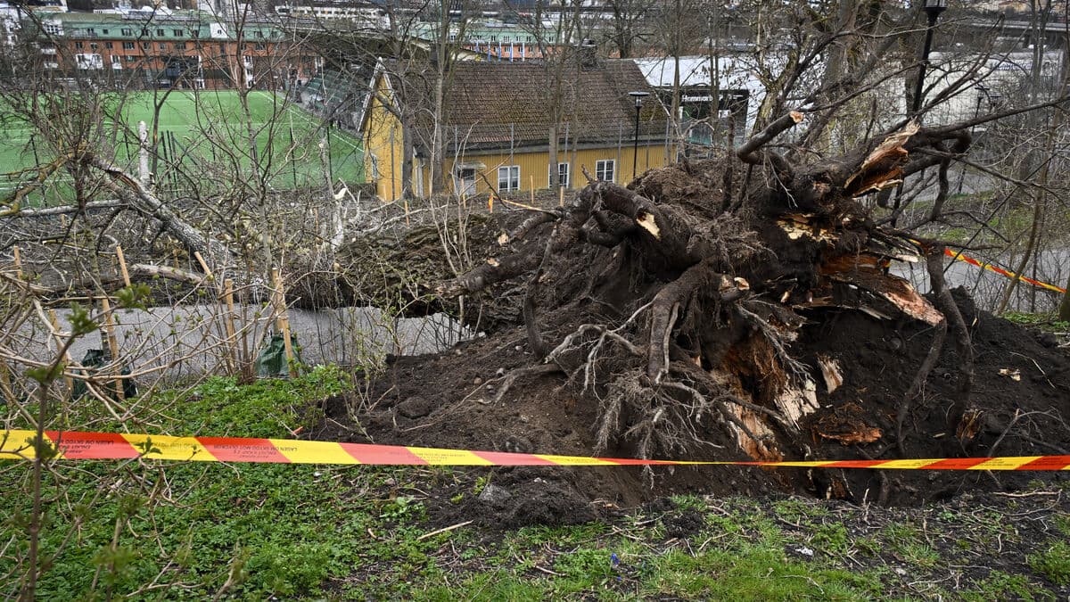 Storm damage hits Swedish homeowners hardest in 50 years this spring