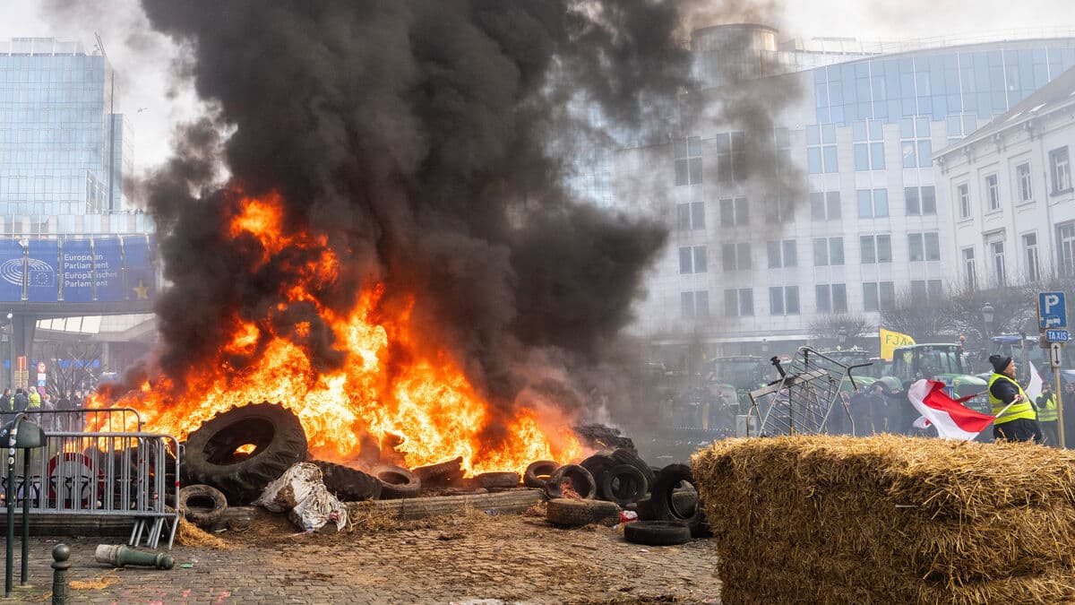 Farmers' protest in Brussels – tear gas fired at demonstrators