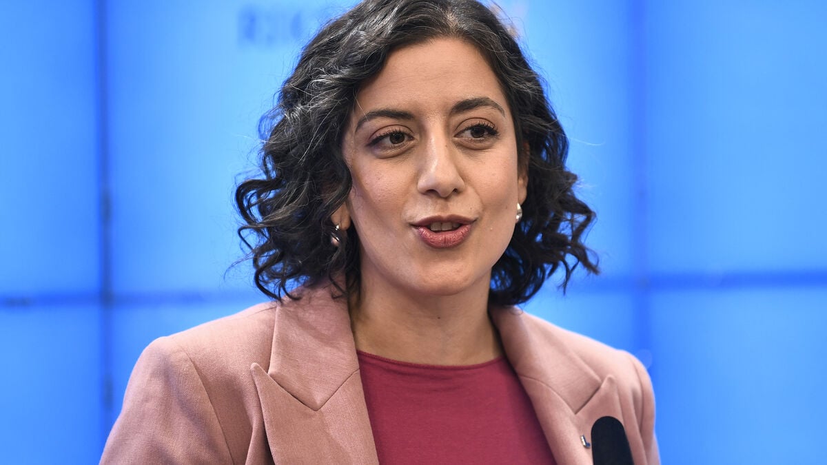 Threats to Swedish democracy from Islamism to be investigated