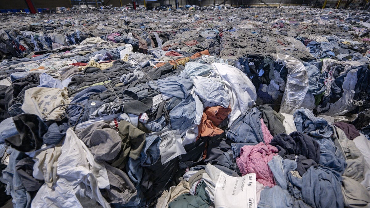 Unique clothes sorting machine goes on sale: "Too early"