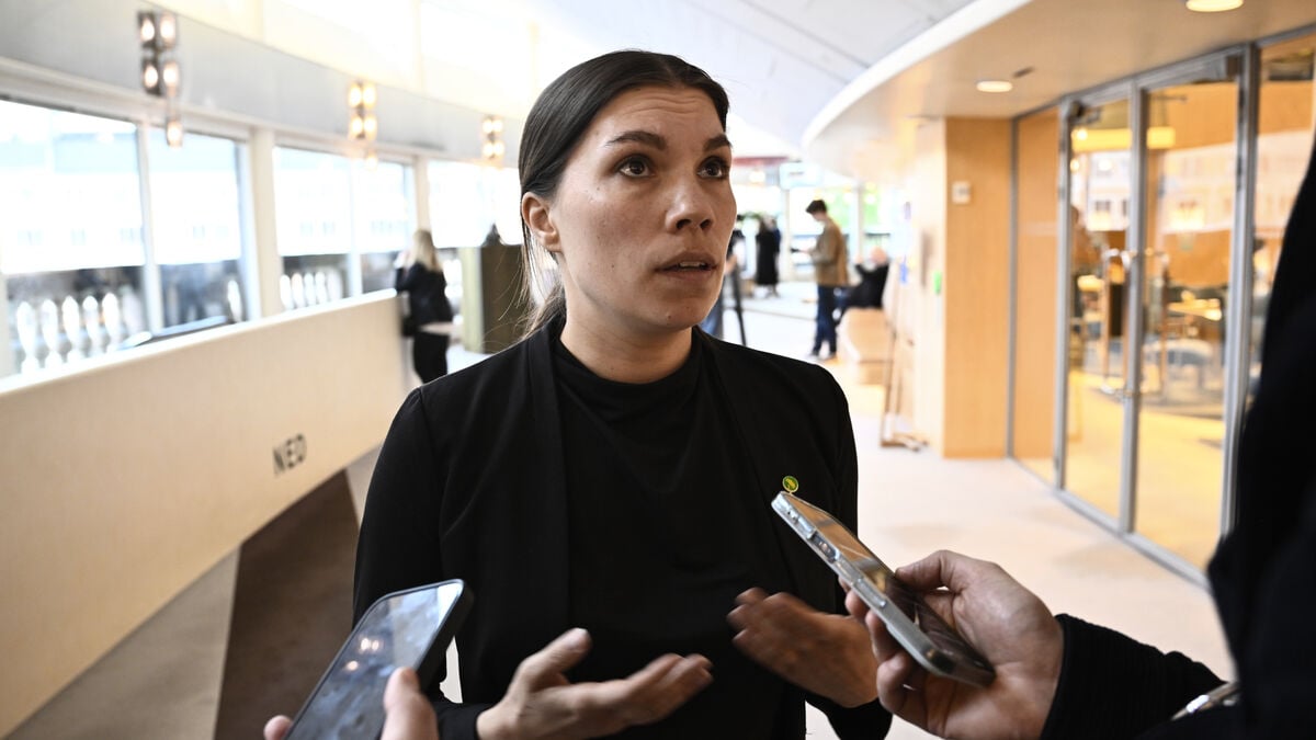Red-Greens hope to block tougher family immigration rules