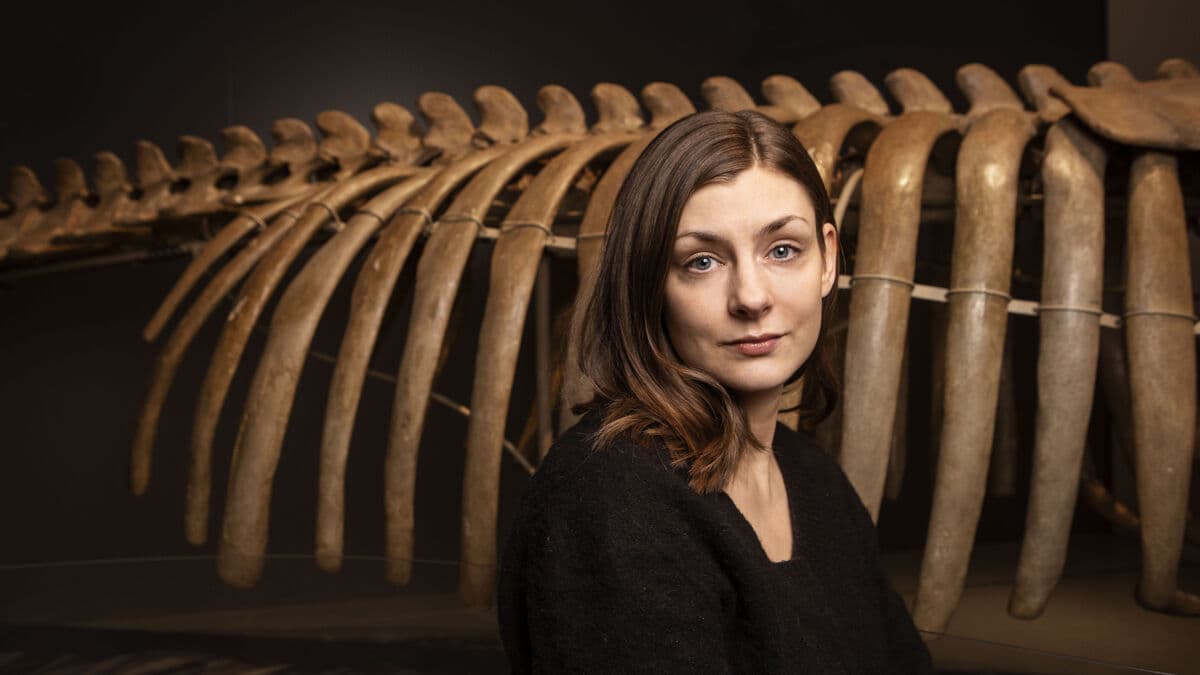 Helsinki Book Fair visits Stockholm on May 9–10