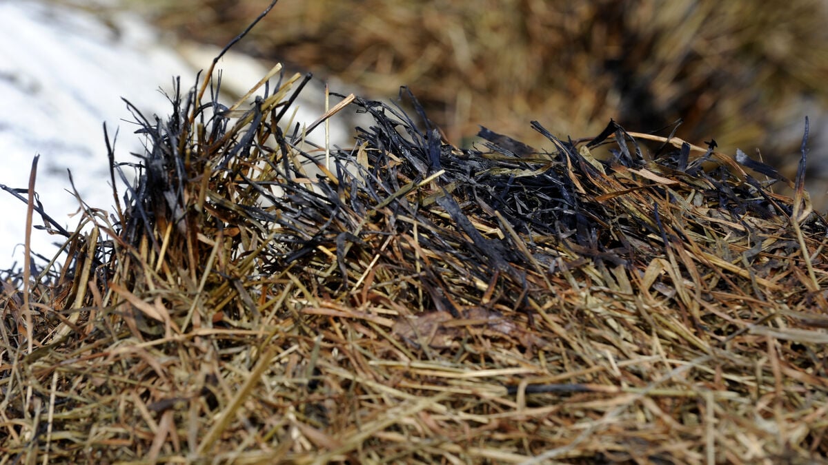 SMHI warns of grass fires in southeastern Sweden