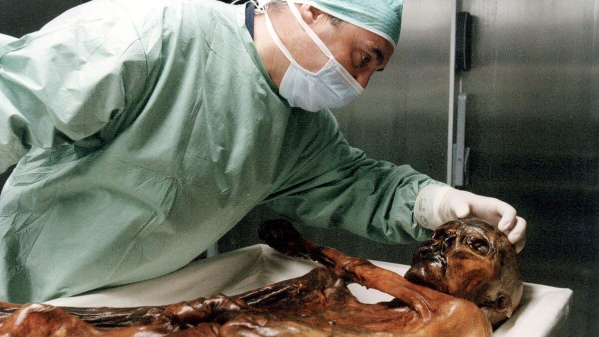 Scientists bake sourdough bread using yeast from Ötzi