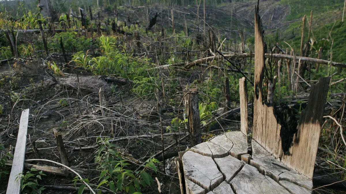 More money spent on destroying nature and less on protecting it