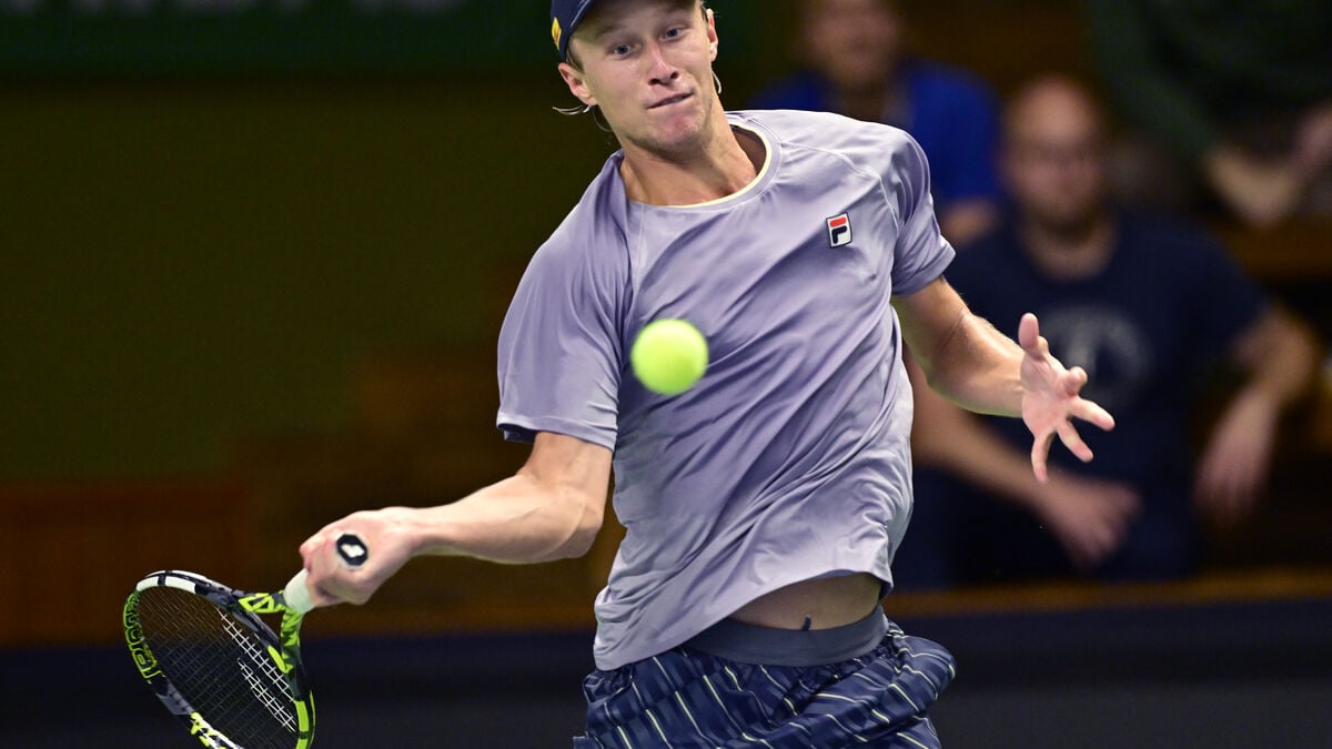 Elias Ymer and Leo Borg to play at Stockholm Open after receiving wild cards