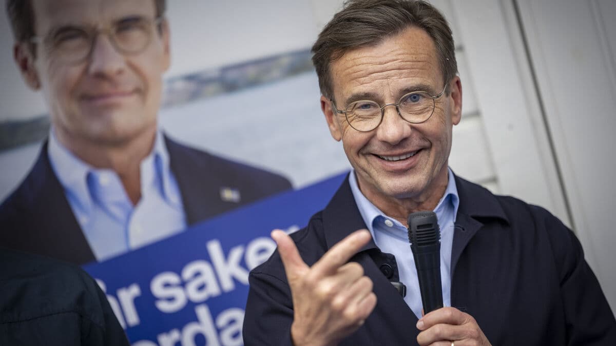Moderates lead school election, SD falls sharply