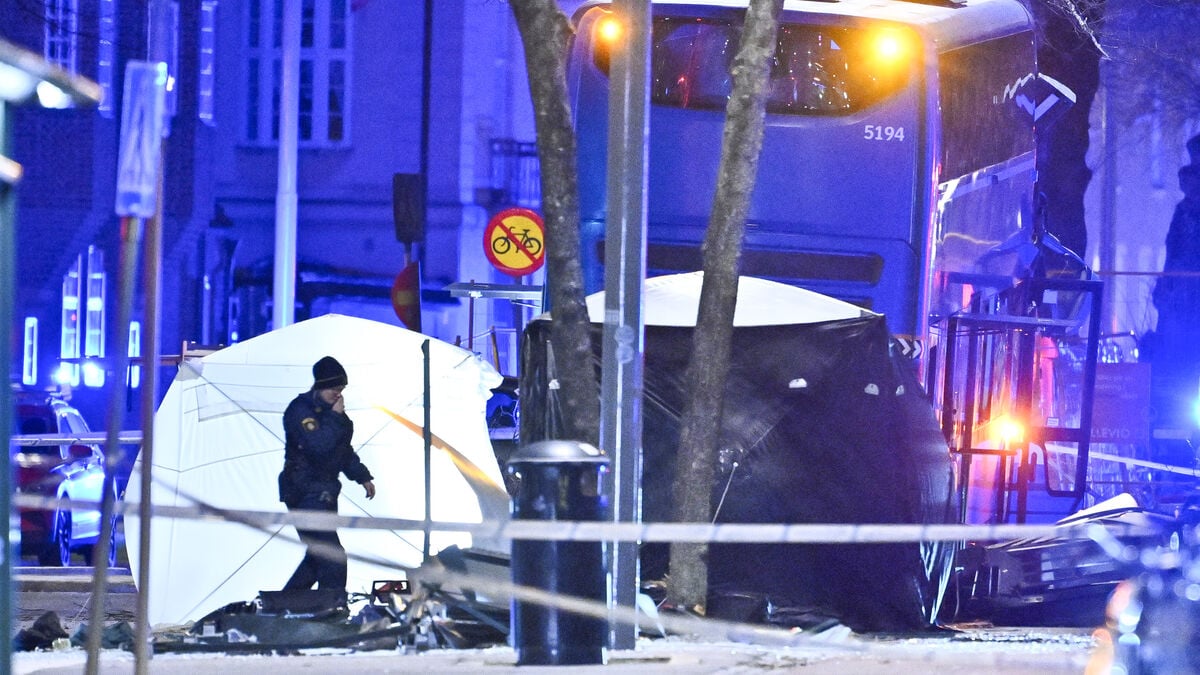 Bus driver released after questioning