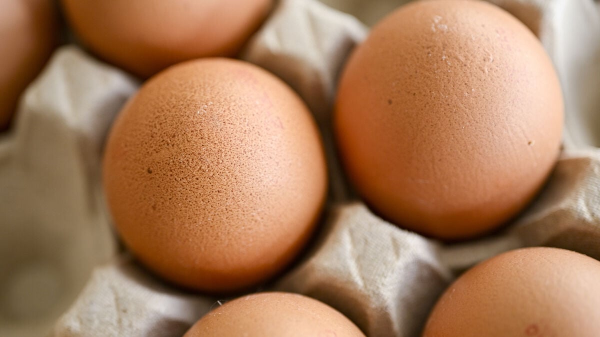 Organic Eggs Recalled in Sweden Over Salmonella Concerns