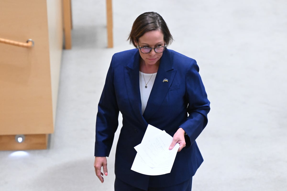 Government Criticizes Israel's Ground Offensive in Gaza
