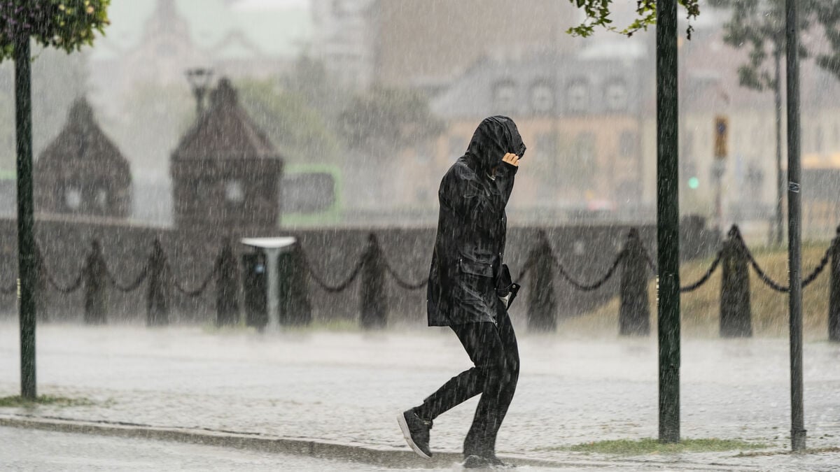SMHI warns of heavy rain and strong winds as trains are cancelled in southern Sweden