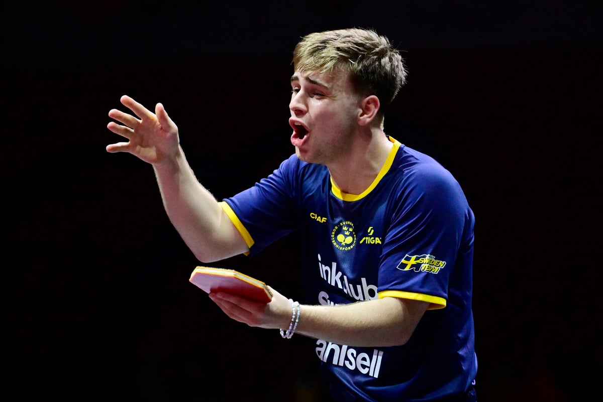 Wang Chuqin Defeats Truls Möregårdh 4-0 in WTT Champions Semifinal