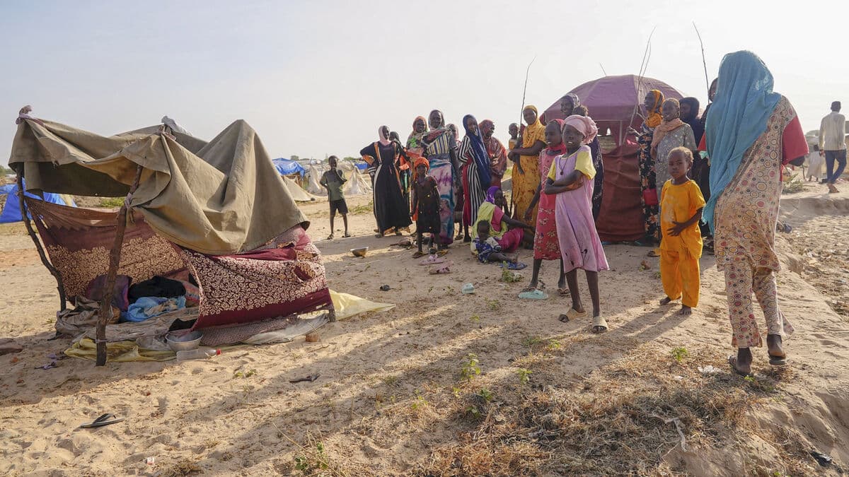 UN Warns: Four Million Displaced in Sahel Region Need Urgent Aid