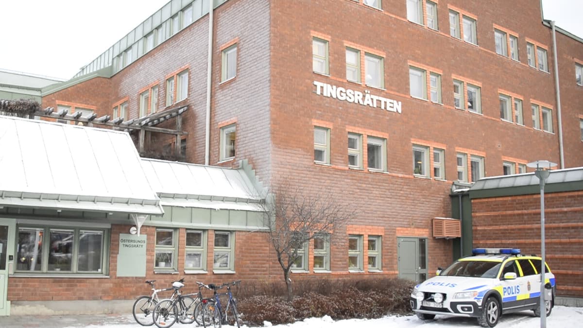 Girl wanted to kill relative with meat cleaver – prosecuted