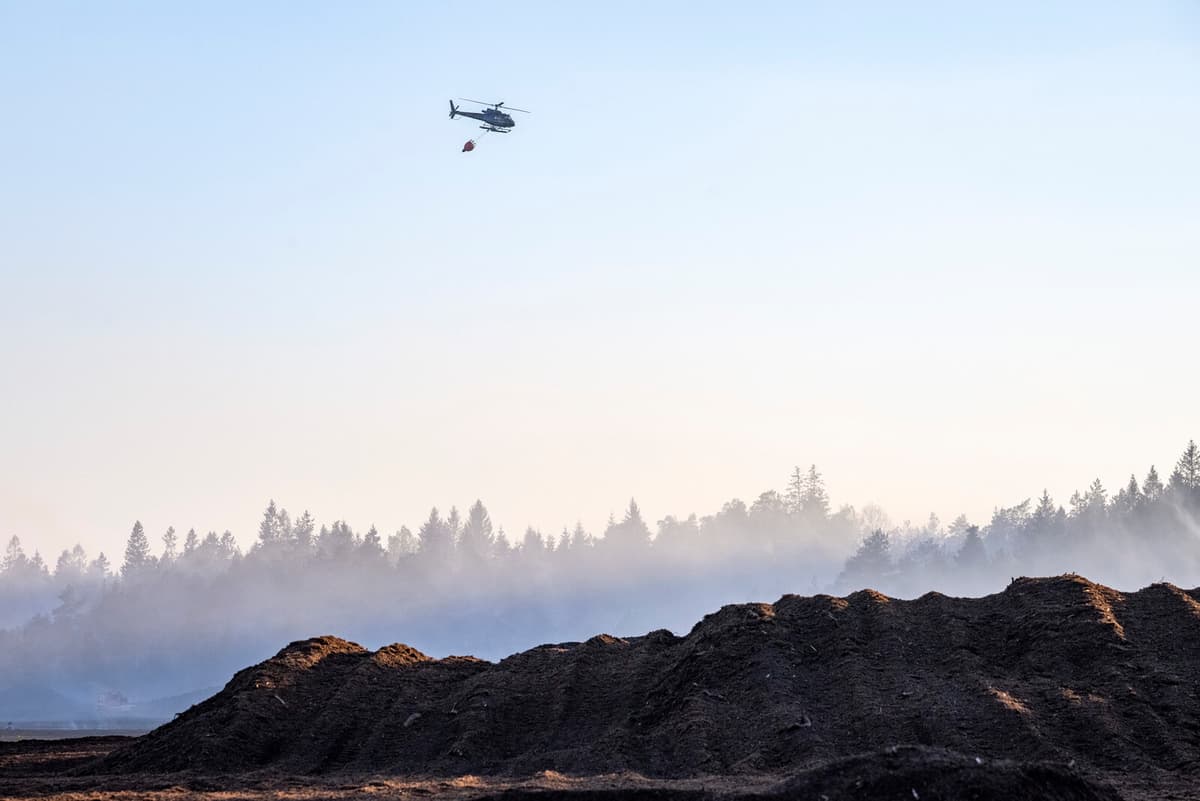 Fire Risk Warning Issued for Large Parts of Sweden