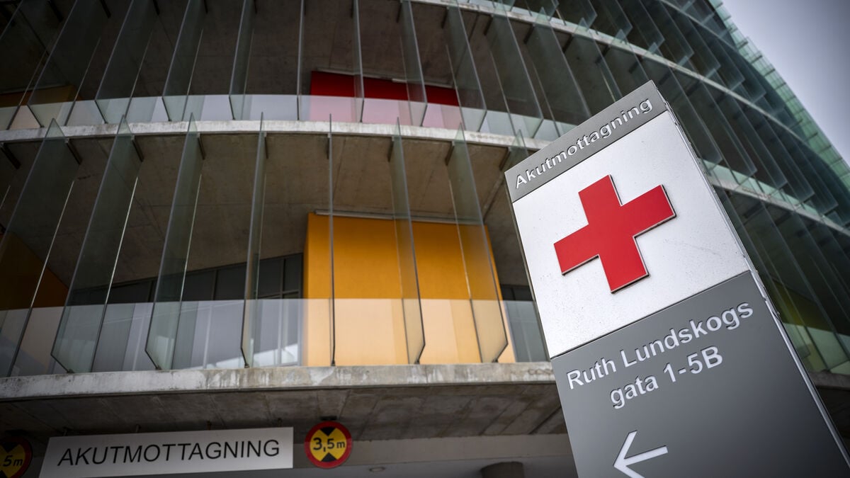 Healthcare worker convicted for false alarm about rape in Malmö hospital culvert