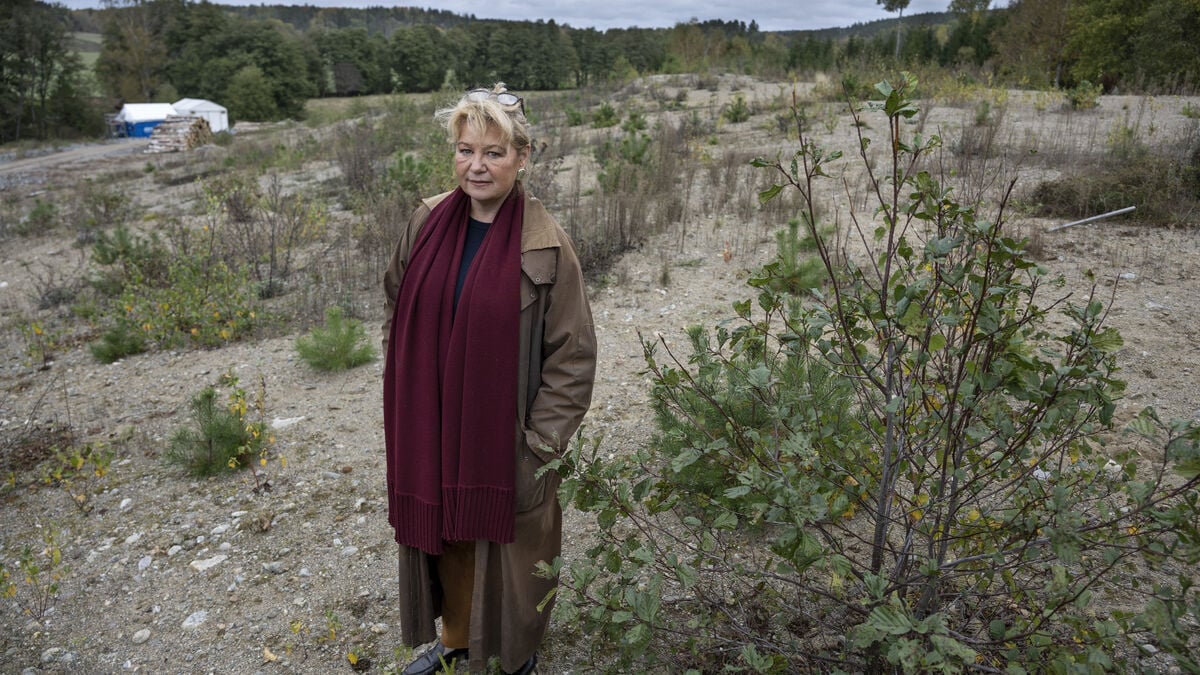 Think Pink waste remains at nine sites in Sweden as Kagghamra cleanup could wait until 2028