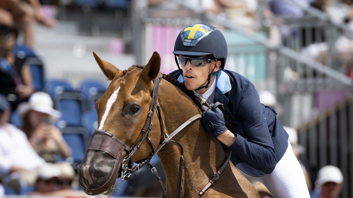 The star horse King Edward competes again - a phenomenon, Henrik von Eckermann says