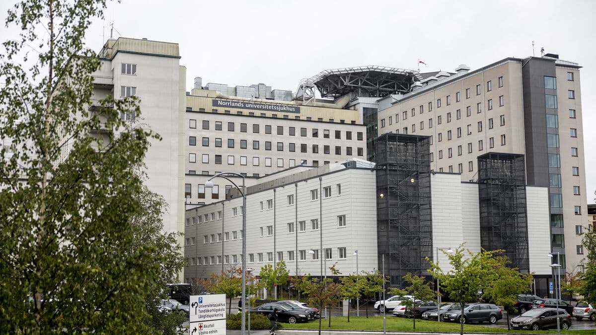 Three more measles cases linked to Urkult festival outbreak