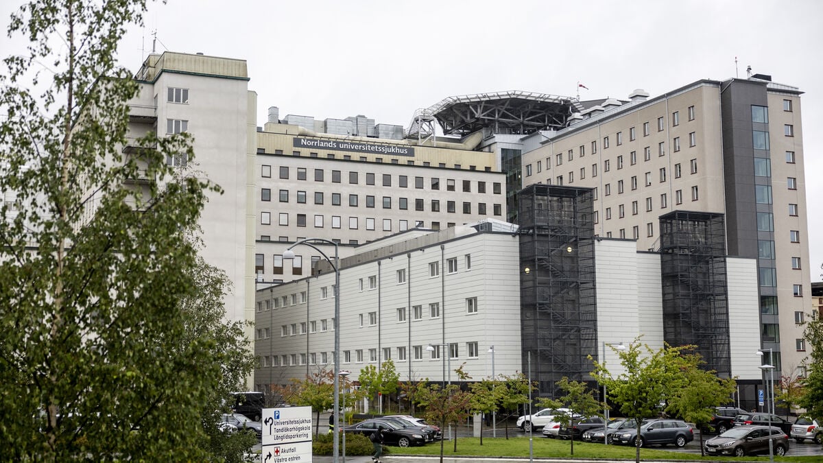 Three more measles cases linked to Urkult festival outbreak