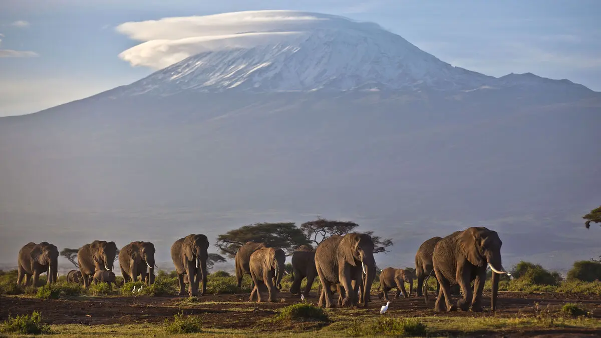 Five dead in helicopter crash on Mount Kilimanjaro in Tanzania
