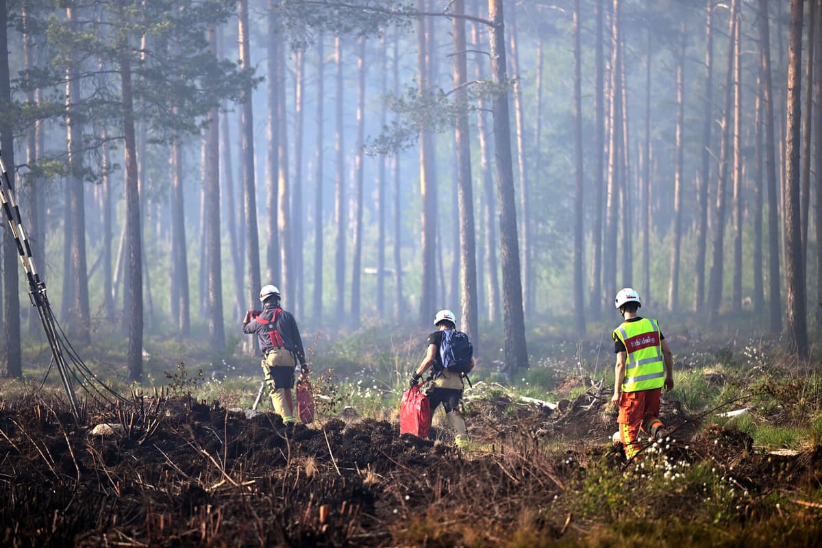 High Risk of Forest Fires Across Sweden, Warns SMHI