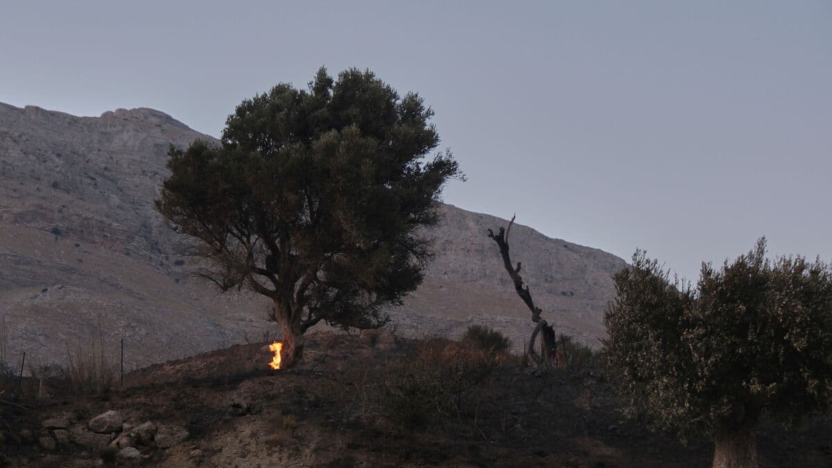 New wildfire breaks out outside Athens as Crete blaze eases