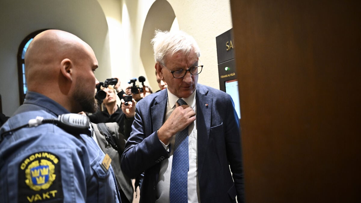 Bildt: Lundin became a positive force in the area