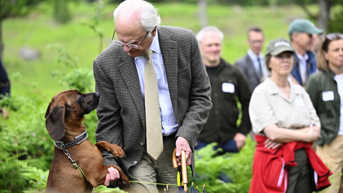 King Carl Gustaf mourns Bonnie Tyler, who inspired the royal family’s dog’s name