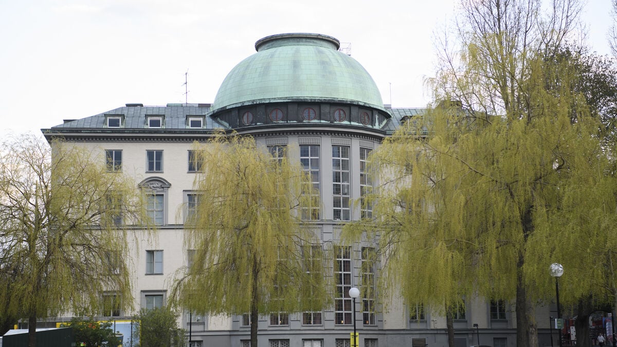 Top Swedish students revealed in Epstein files