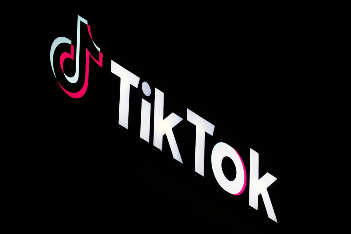 Tiktok appeals for postponement in dispute with USA