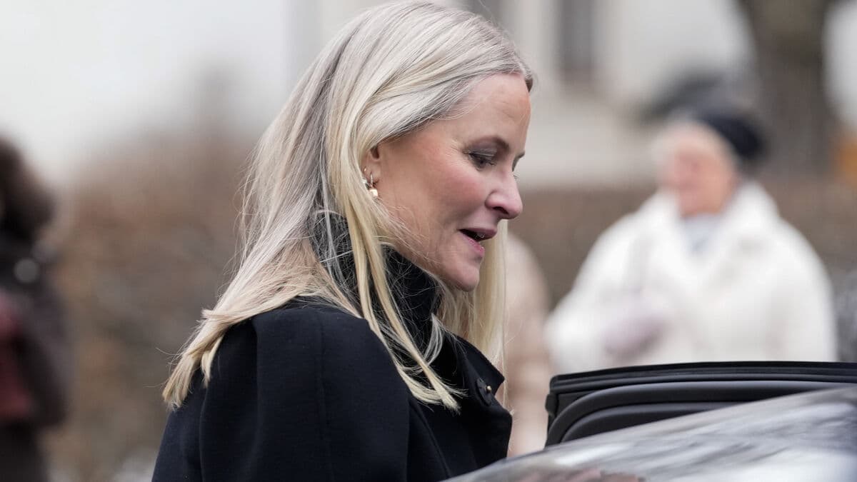 Crown Princess Mette-Marit to Epstein: Paris is good for infidelity