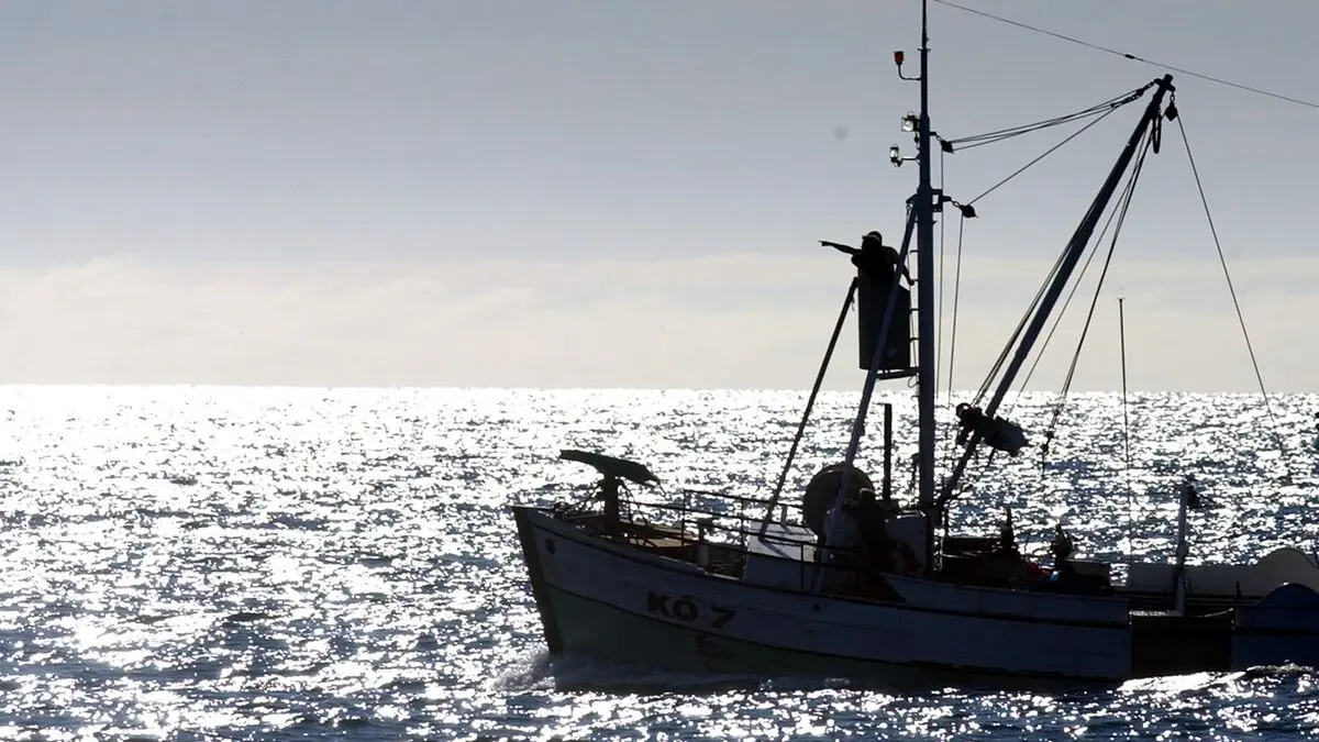 US threatens tariffs on Iceland over whaling, report says