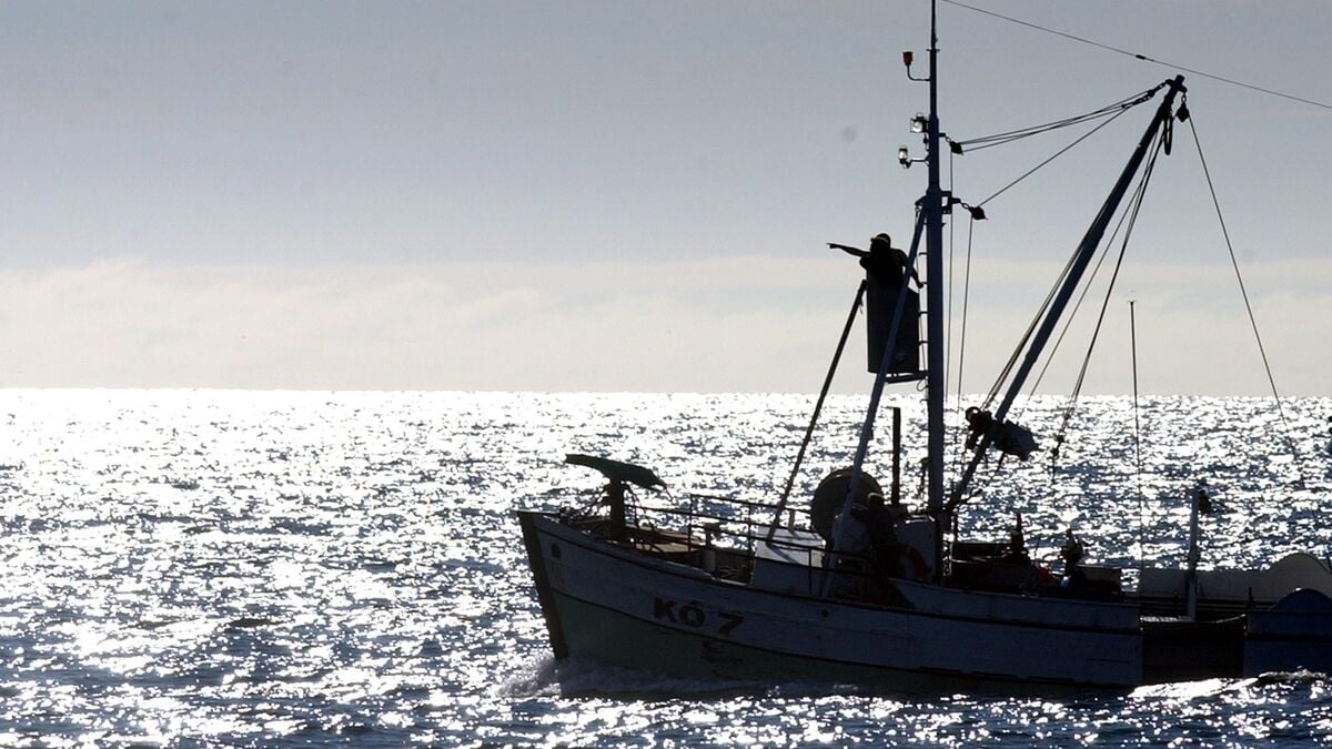 US threatens tariffs on Iceland over whaling, report says